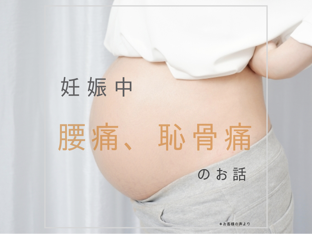 妊娠中の腰痛や恥骨痛に悩まされている方はこれ Cloverc Online Shop